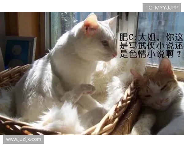 掌敏洁家的猫都比我会花钱