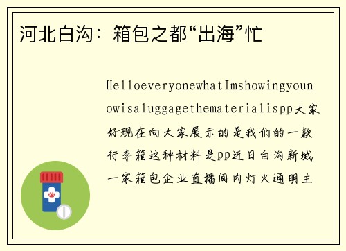 河北白沟：箱包之都“出海”忙